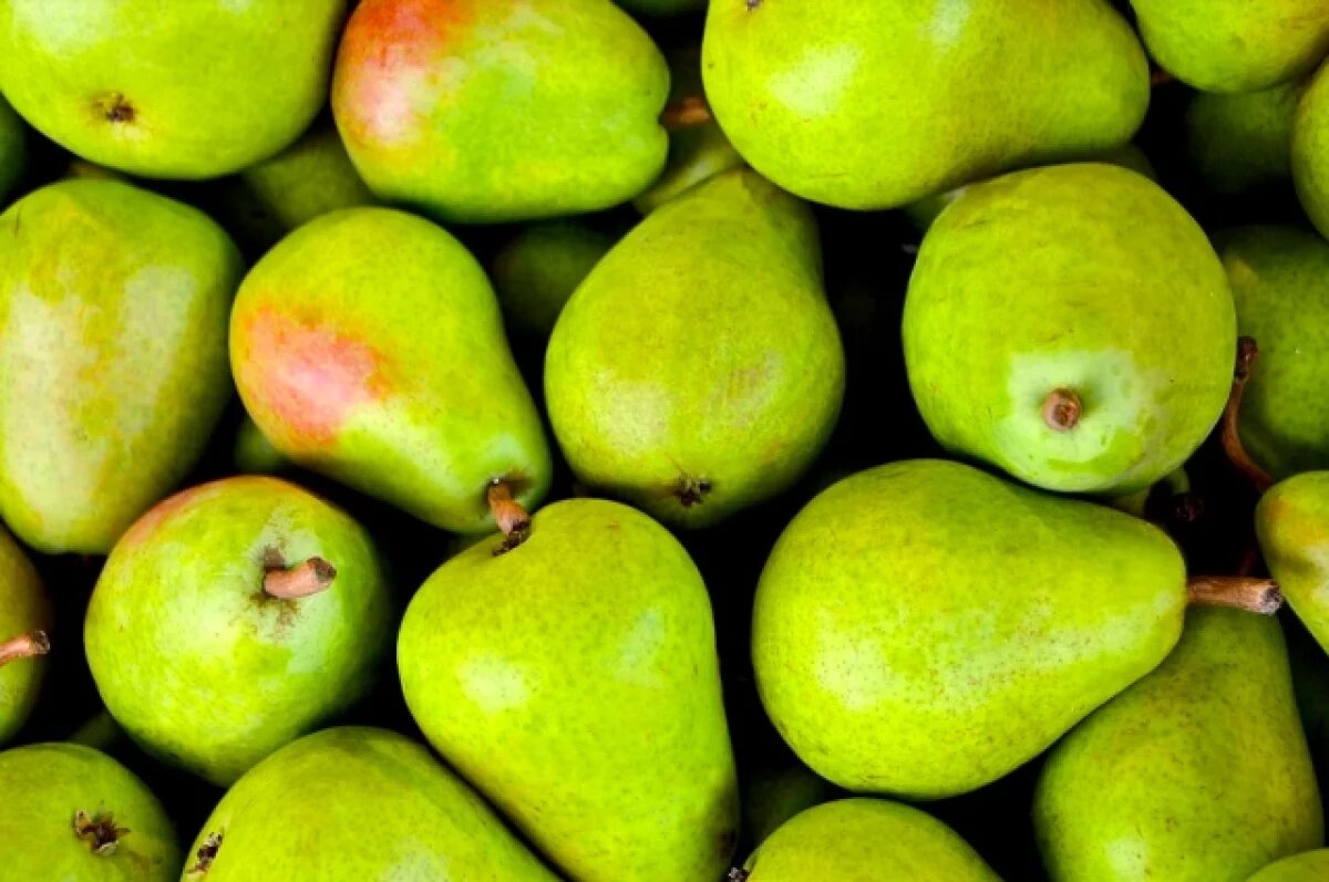    Тульская компания заплатит штраф за реализацию саженцев с нарушениями