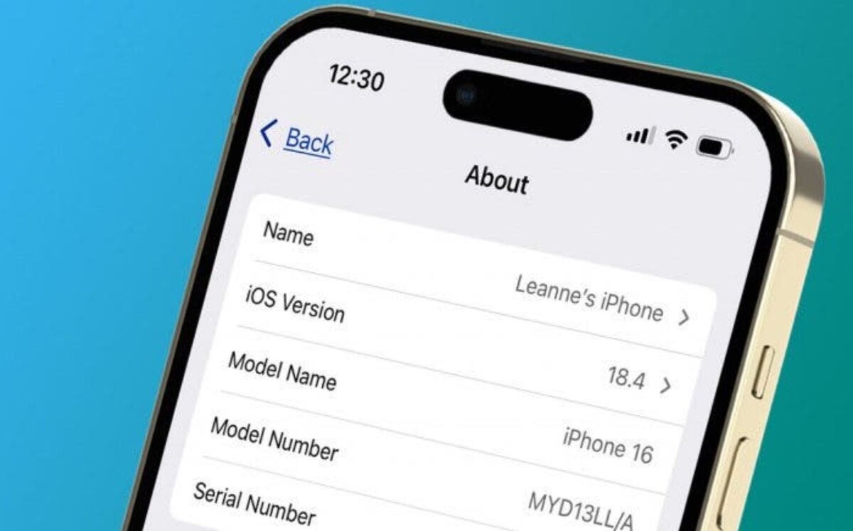    Рассказываем, что будет, если сообщить серийник Айфона незнакомцам. Фото: iphonelife.com