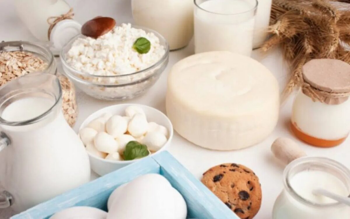    Как продлить свежесть молочных продуктов: правила хранения без потери качества