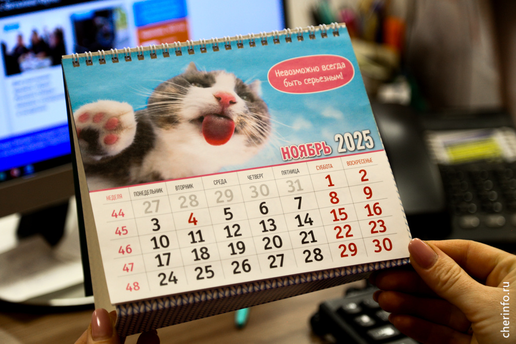    Сотрудники на пятидневке будут работать с 27 октября по 1 ноября. Суббота стала рабочей из-за переноса выходного с 1 ноября на 3 ноября.