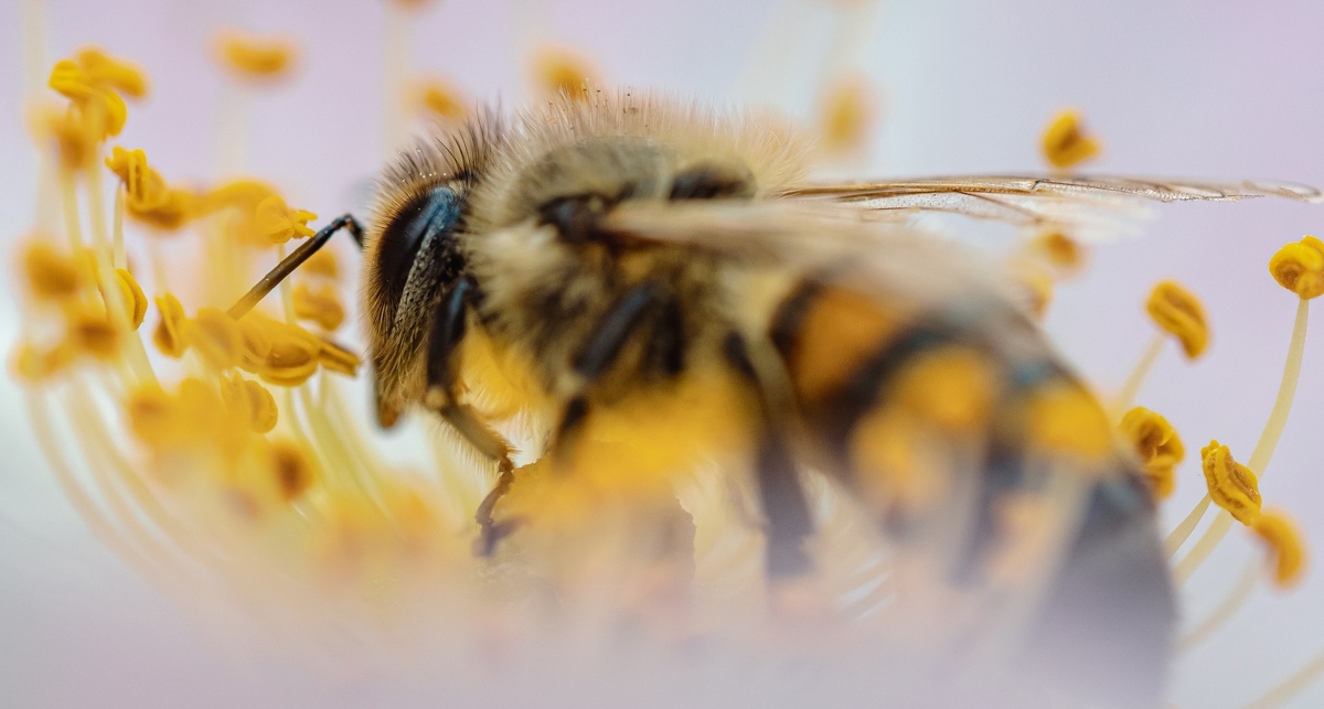 Фото Иры Протченко.