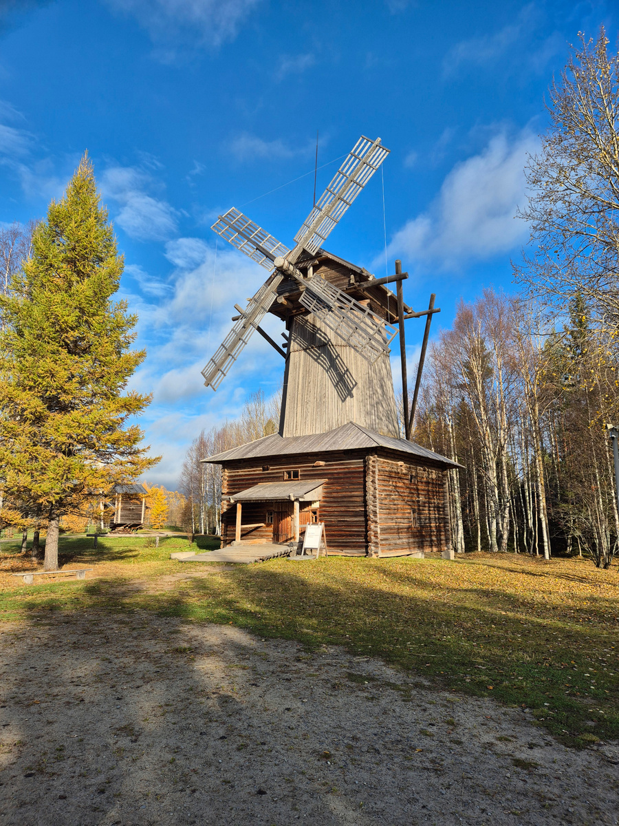 Ветряная мельцица. Фото из личного архива