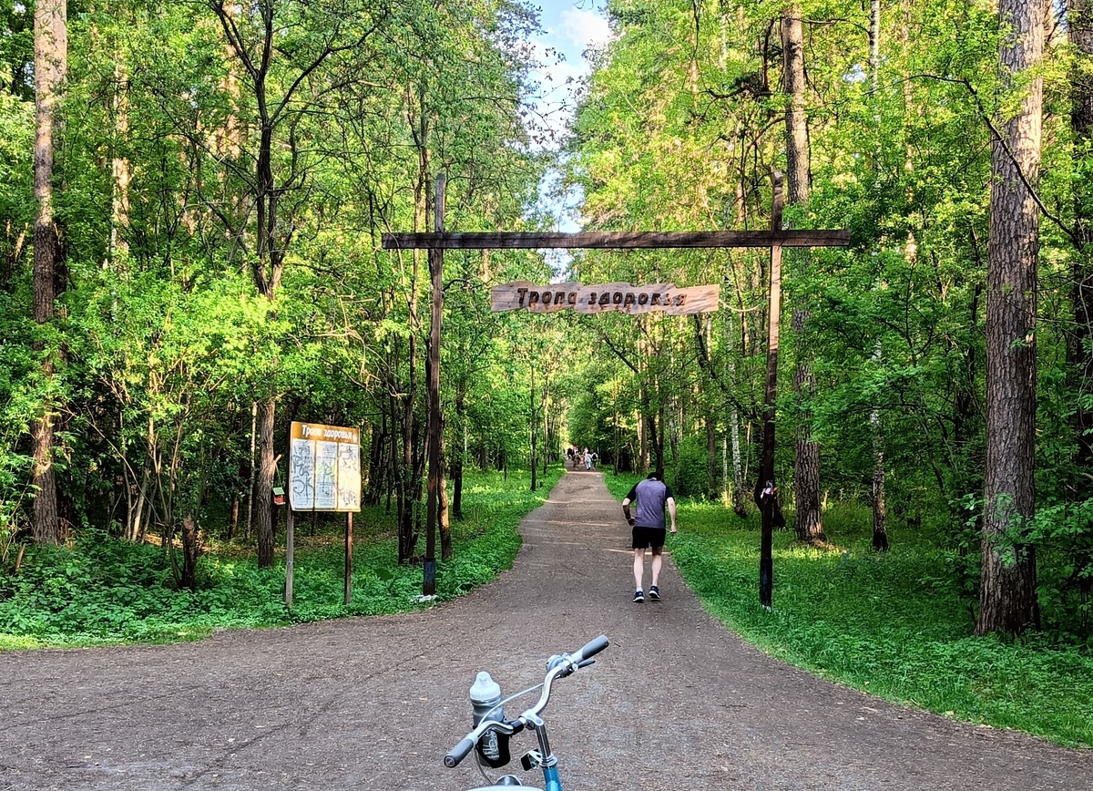 Тропа здоровья в Юго-Западном лесопарке. Весь круг 4,3 км, около 7000 шагов. Фото автора 