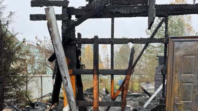 Фото: Телеграм-канал «Петербургская полиция»