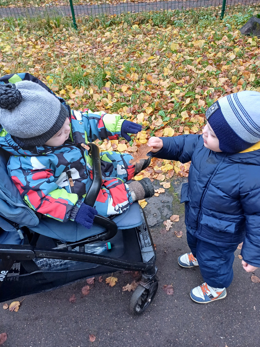 Идем домой из сада