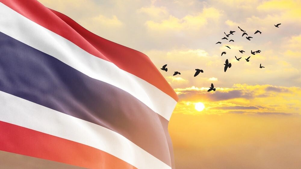    Фото: Mini Onion/Shutterstock/Fotodom