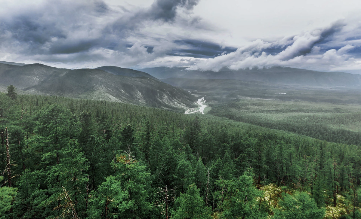 Картинка взята из открытого источника 