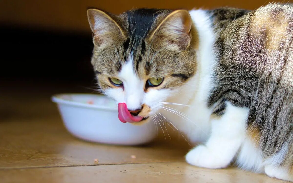    К сожалению, эта «забава» чревата печальными последствиями /unsplash