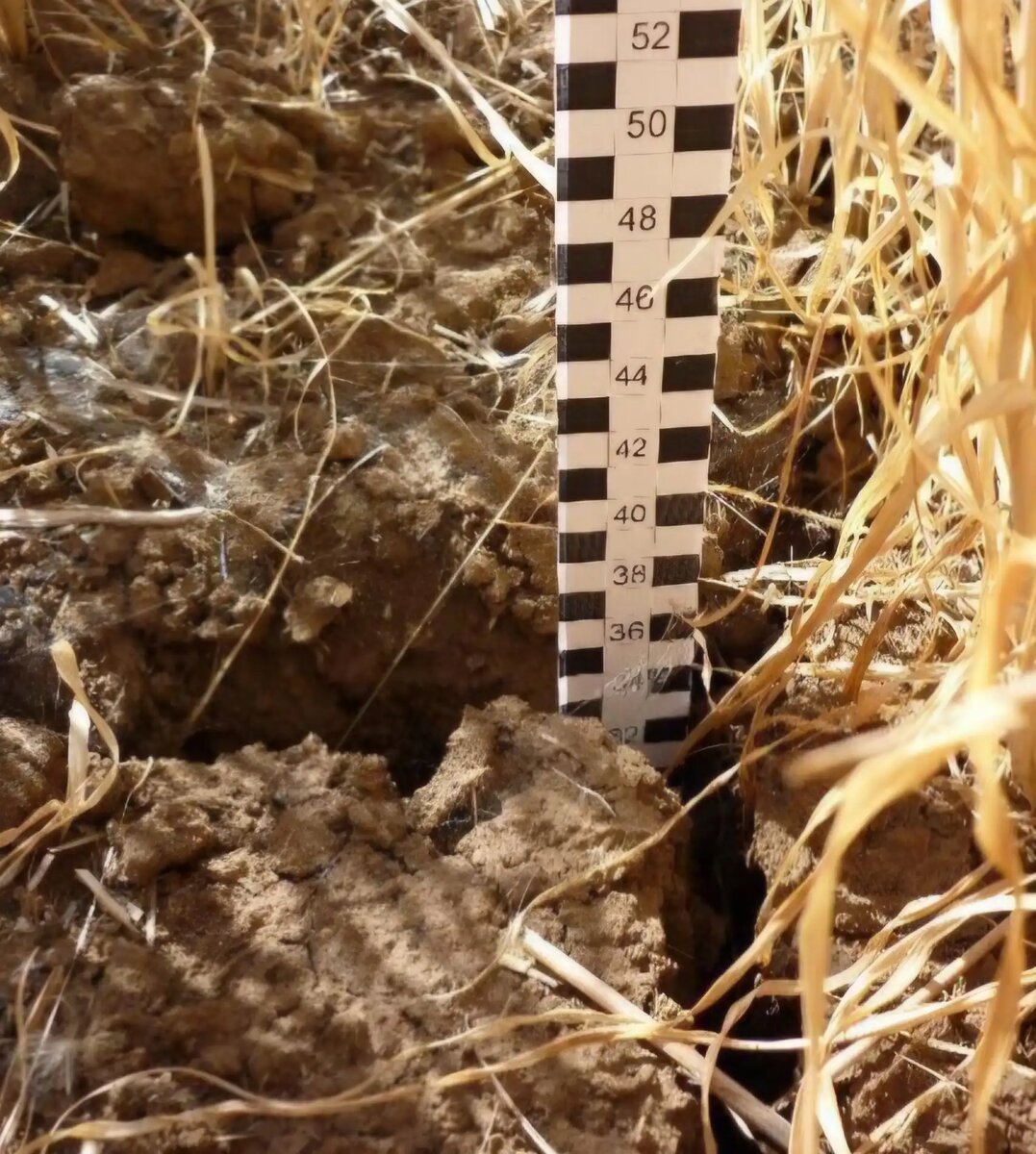 Засушливость климата является основной причиной неустойчивого земледелия. Источник: презентация С.И. Думброва, О. Н. Гурова