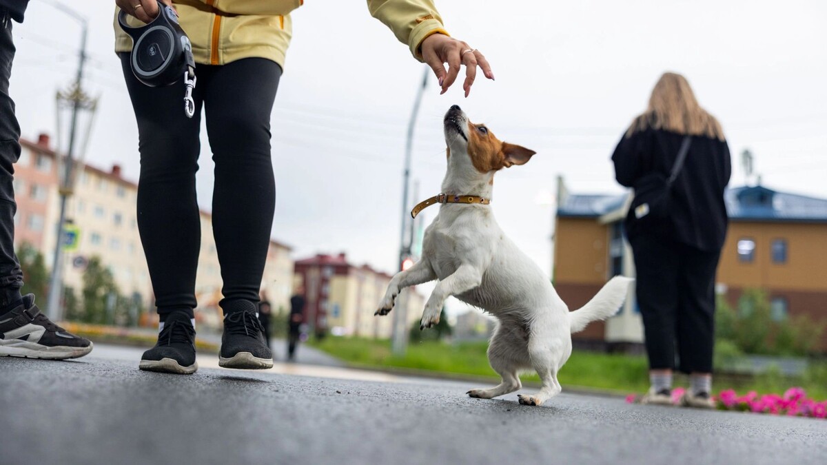    Фото: Федор Воронов / «Ямал-Медиа»