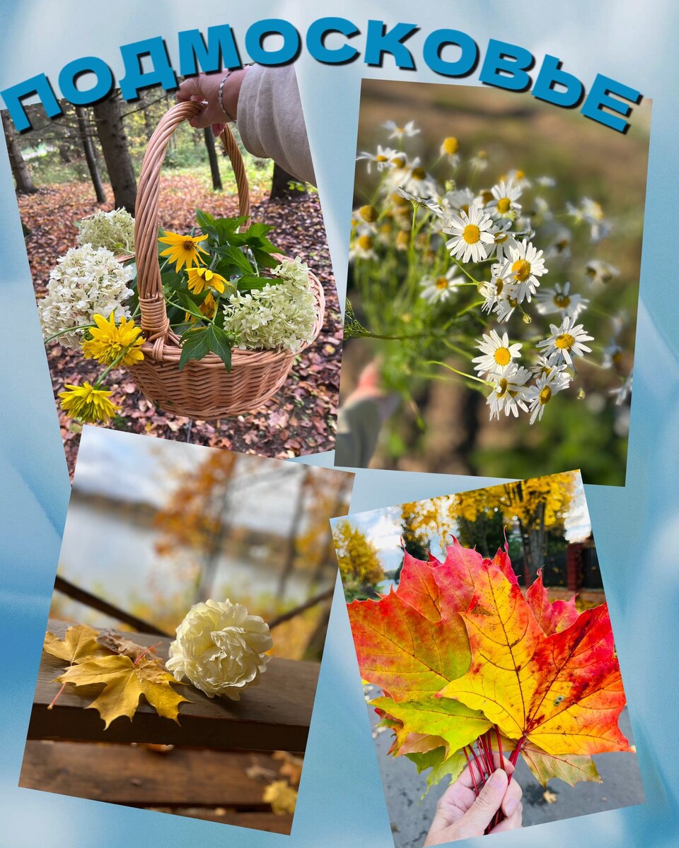 Осень подмосковная 