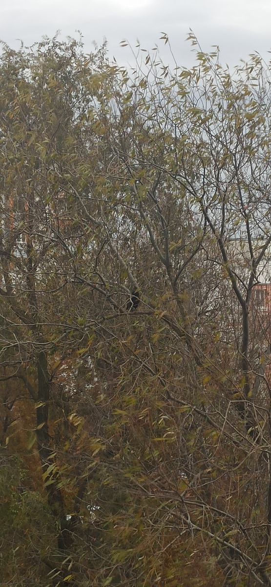 Сегодня утром. 