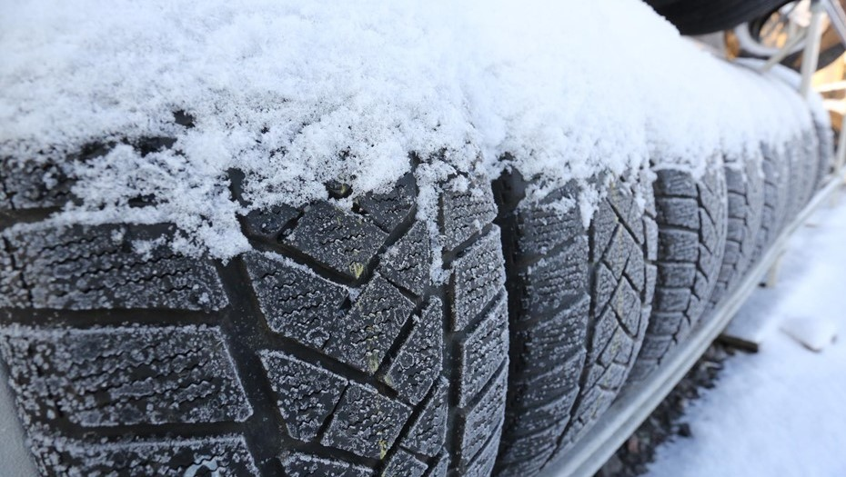 Автор фото: Ковалев Петр 