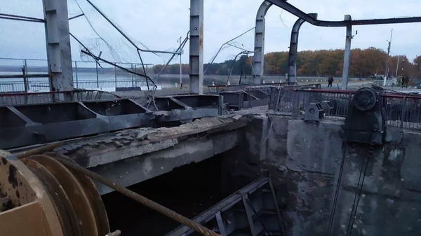    © Фото из соцсетей