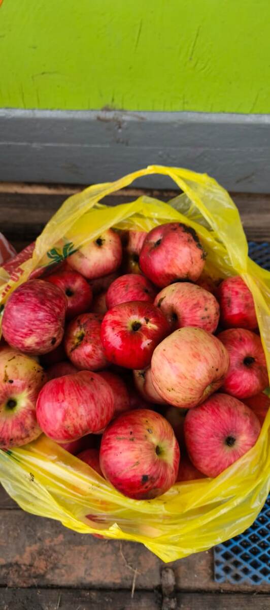 Яблоки с заброшенного сада. А на дворе конец октября.