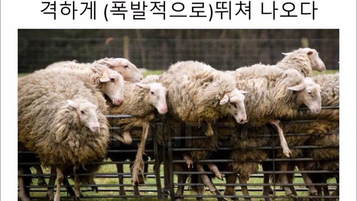 картинка из интернета