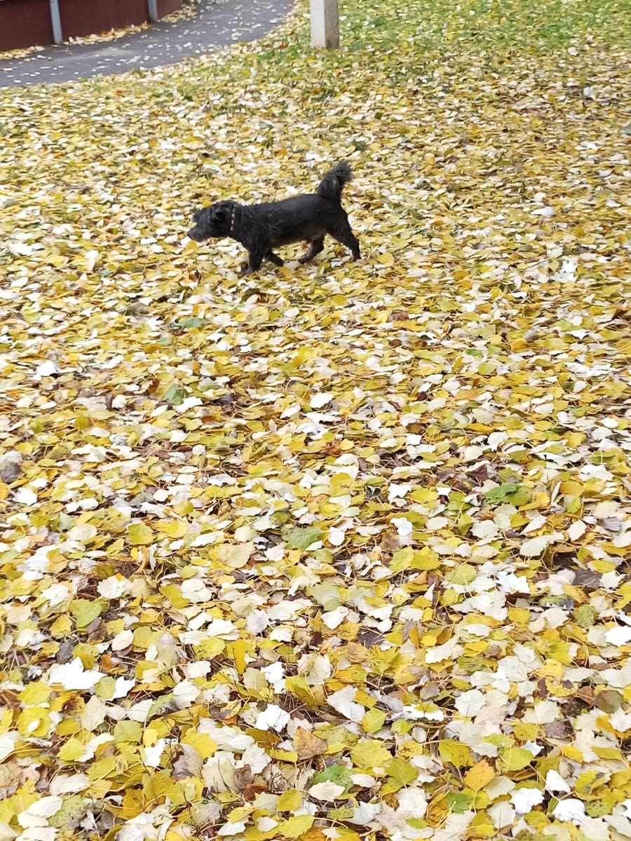 Мы сначала пробежались и позавтракали