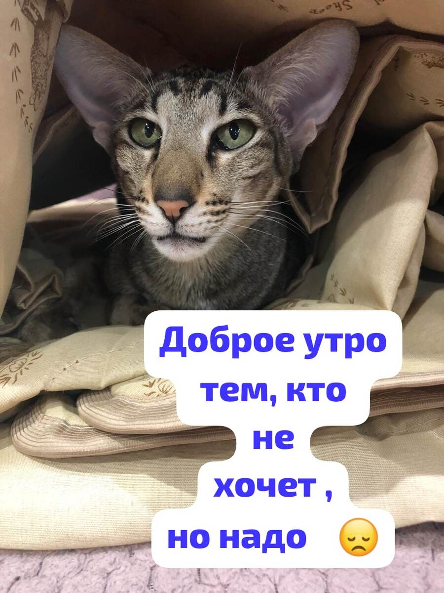 Ася вынуждена просыпаться рано по субботам- я встаю и она со мной