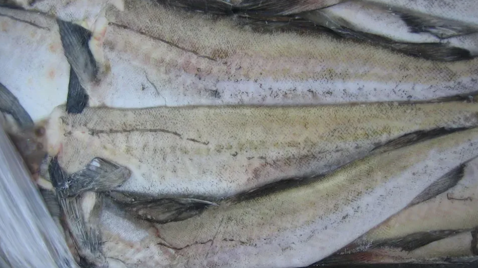 Рыба в СССР. Что нам давали в школе и на работе, и почему сегодня так нас не покормят