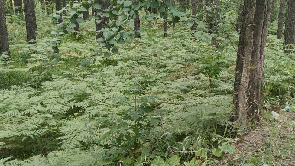    Фото: СКР по Свердловской области