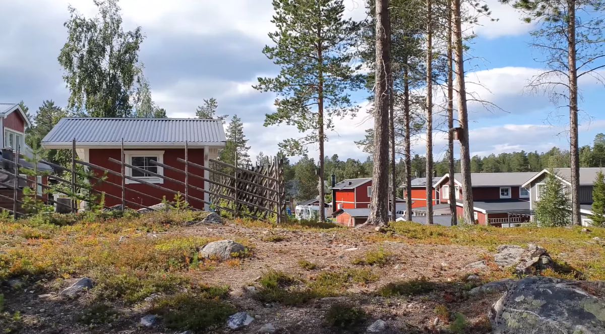 Алексей Кицкан