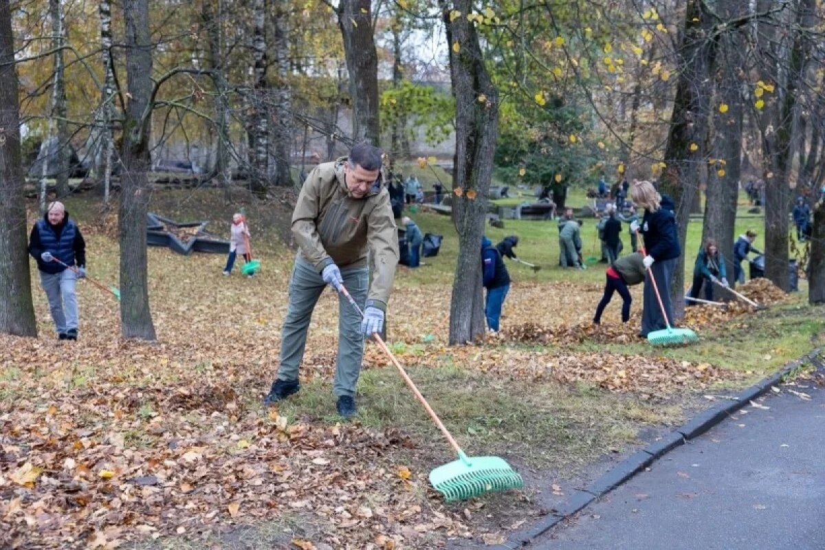    150 кубометров мусора и сухой листвы собрали на субботнике в Пскове