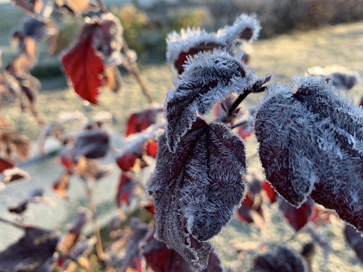 Красивая осень!