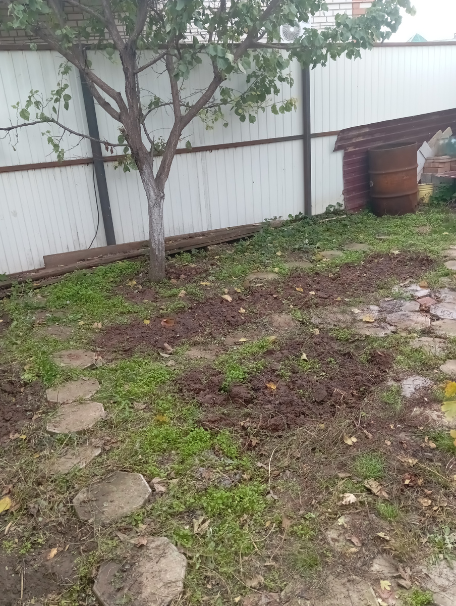 Не идеально, но грядки две даже есть.