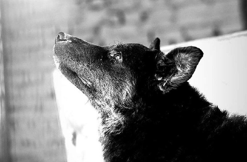 В ПРИЮТ ОЧЕНЬ НУЖНА КРУПА