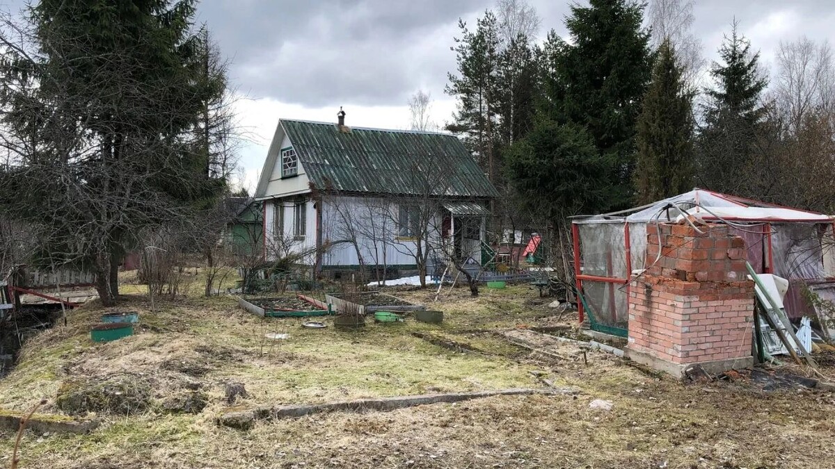    Фото: Ministrator/Shutterstock/Fotodom