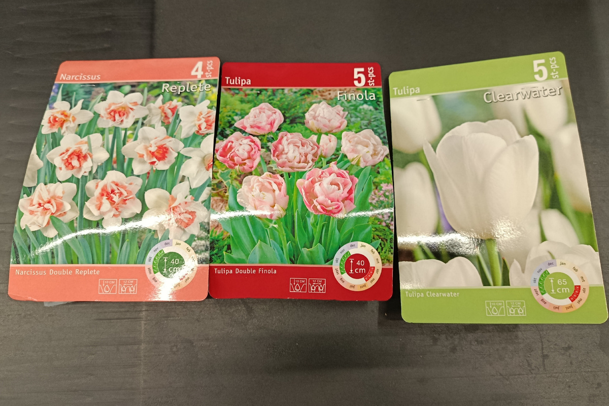 Покупки автора на кассовой ленте