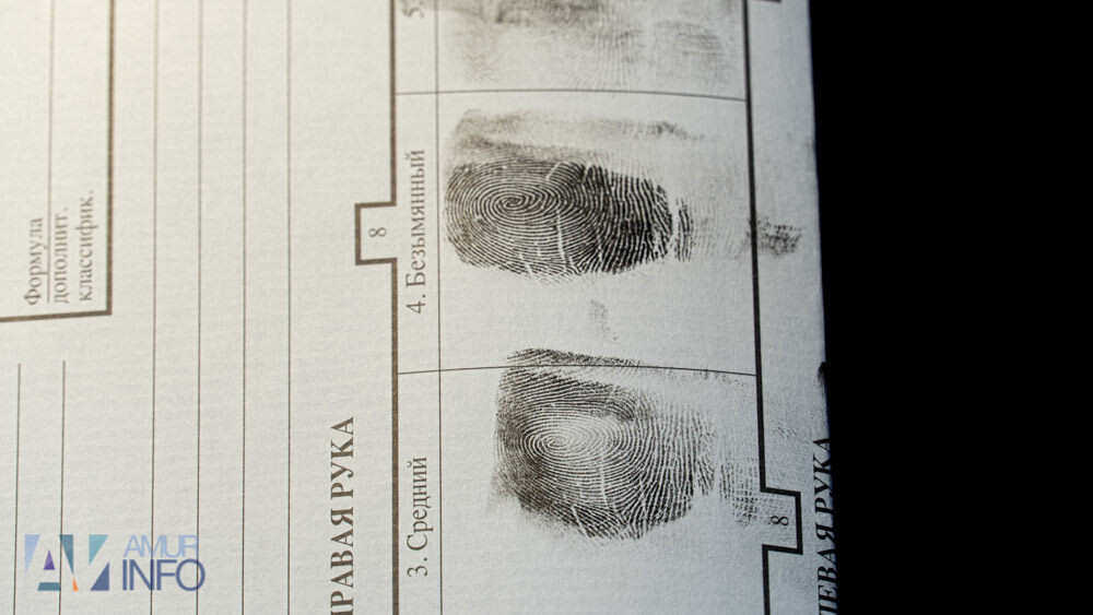    Фото: Амур.инфо