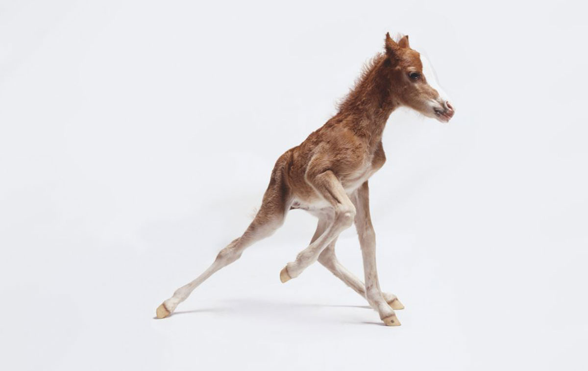 Clayton / Getty Images