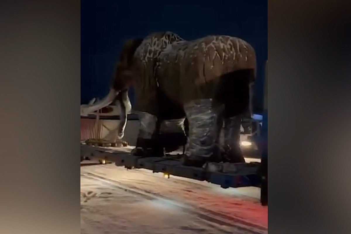     / Источник: Кадр из видео