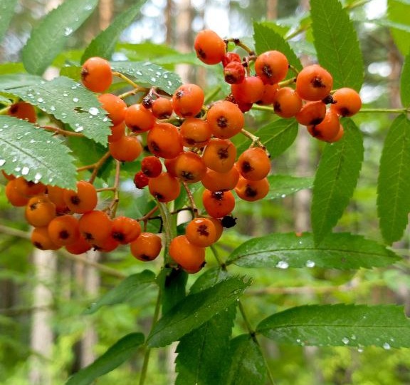 На размышления и внутренний поиск