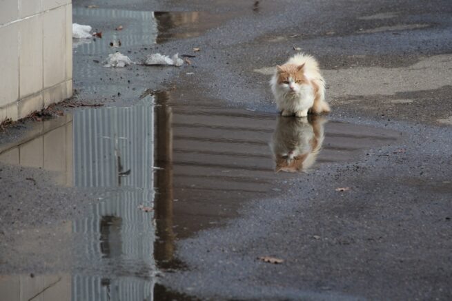    Фото: "Югополис"