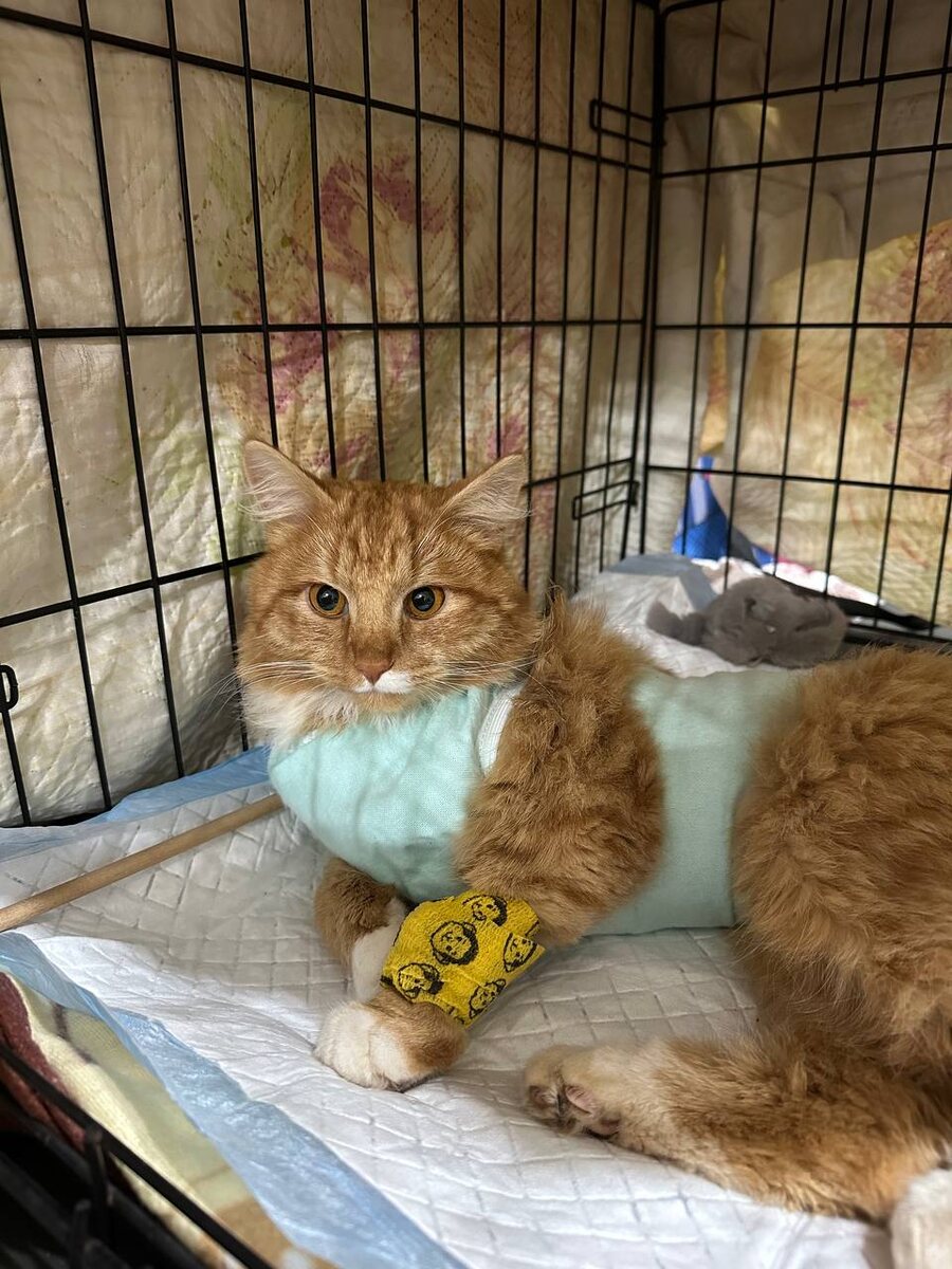 В первые дни после операции 