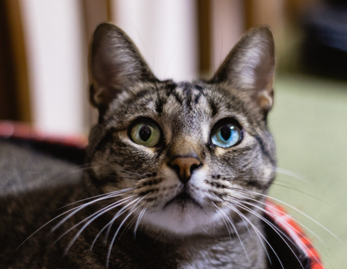 Фото с www.freepik.com