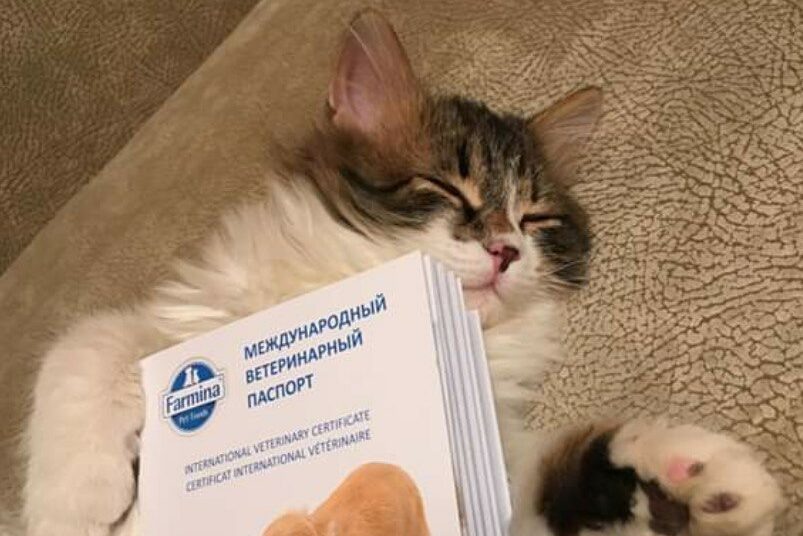    Фото: smolnarod.ru