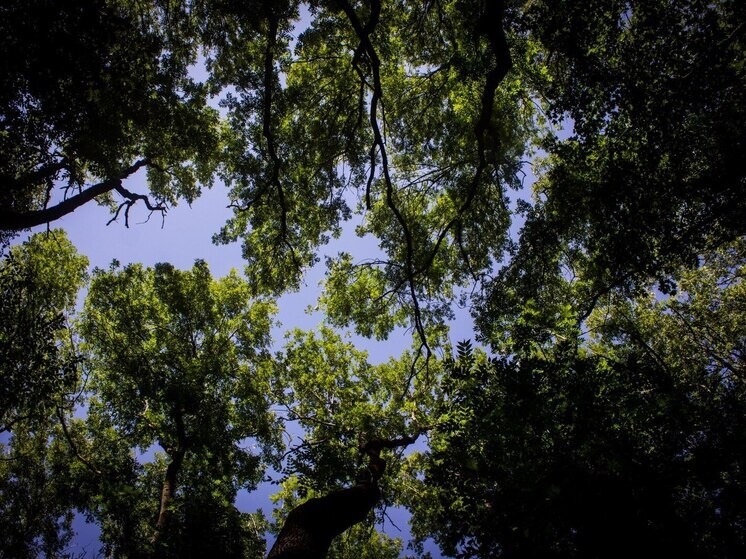     Замгубернатора выразил желание проводить такие чемпионаты ежегодно на областном уровне. Фото: Архив МК в Великом Новгороде