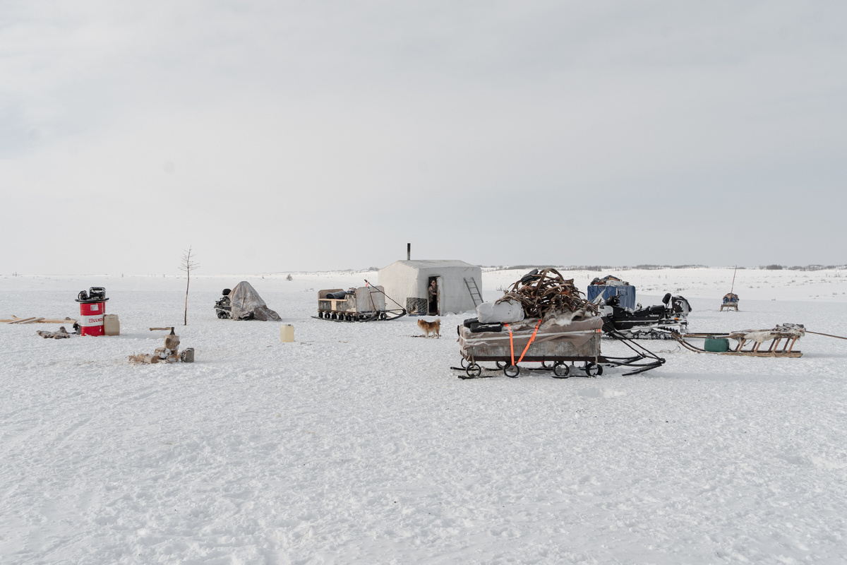 Балок, сани и снегоходы семьи Тэседо, героев фильма. Из «дома» выглядывает ненка-оленевод Наталья. Примерно с таким набором, как на фото, коренные кочуют по тундре.