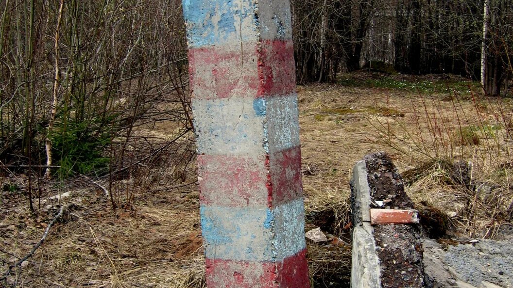    Фото: Nikolay Subbotin /Globallookpress