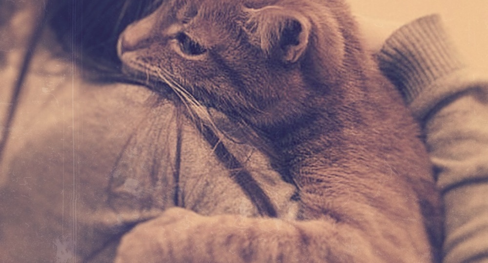 Случайный свидетель