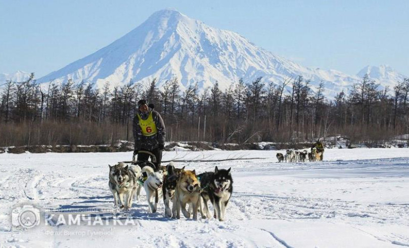 Фото Виктора Гуменюка (архив)