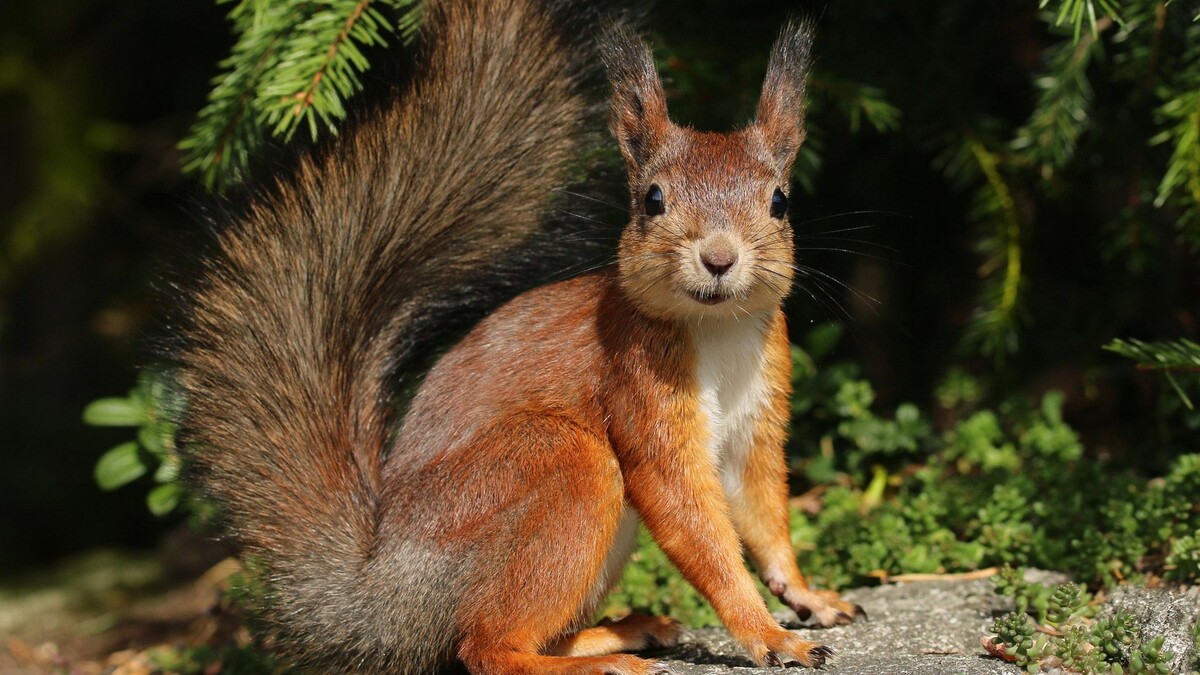 Фотография из интернета