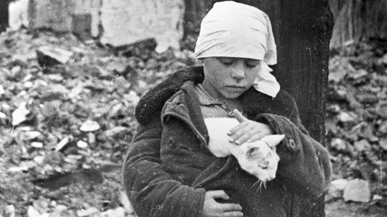 Они сожрали несметные полчища крыс: мяукающий подвиг пушистой армии, спасший Ленинград