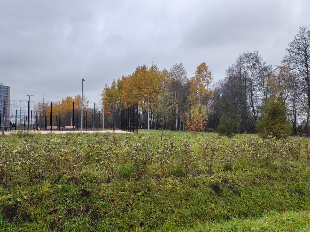 Санкт-Петербург. 25.10.2025 г. 