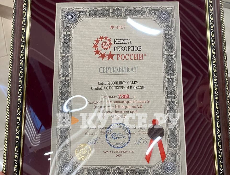    Фото: В курсе.ру Ульяна Бажанова