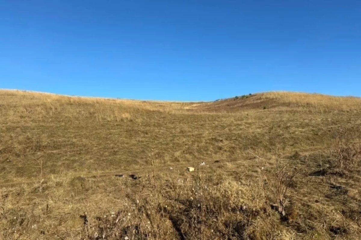    В Красноярском крае собаки загрызли 10-летнего мальчика