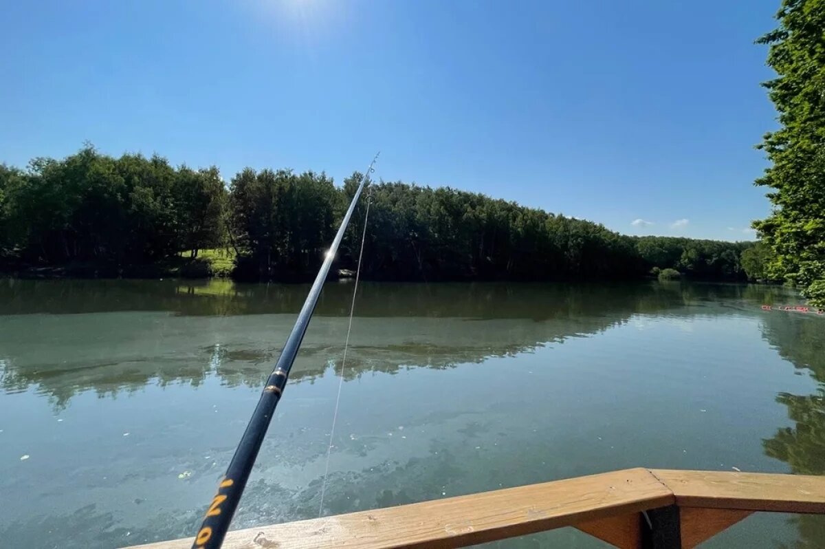    Нужно быть готовым к тому, что активный клев может длиться всего один-два часа, а потом будет затишье.